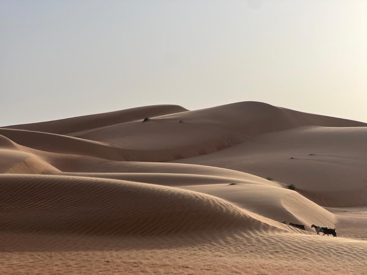 Thousand Stars Desert Camp Badīyah Eksteriør billede