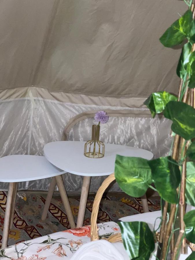 Thousand Stars Desert Camp Badīyah Eksteriør billede