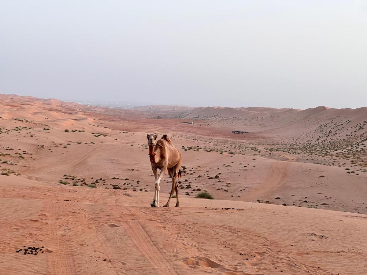 Thousand Stars Desert Camp Badīyah Eksteriør billede