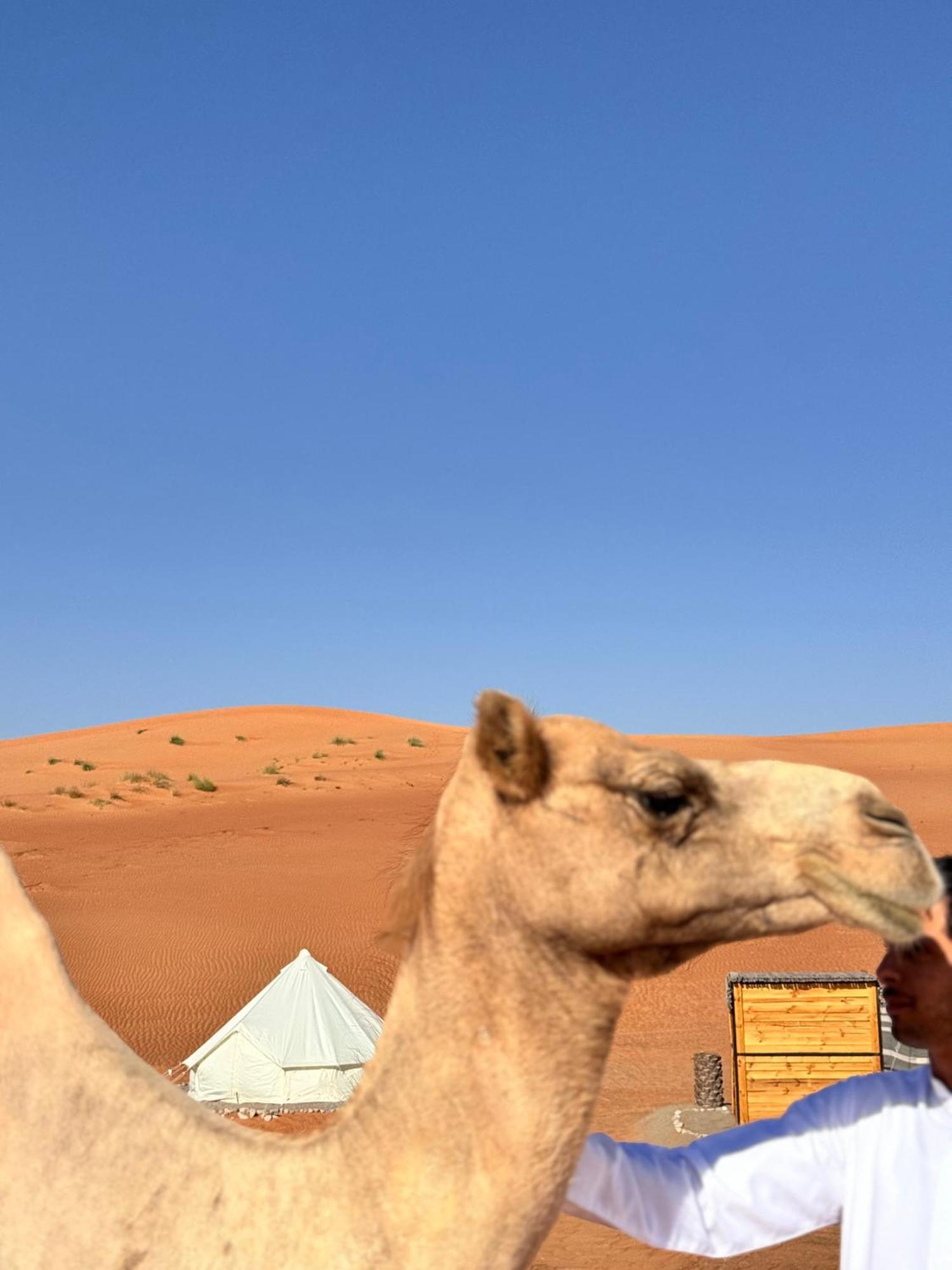 Thousand Stars Desert Camp Badīyah Eksteriør billede
