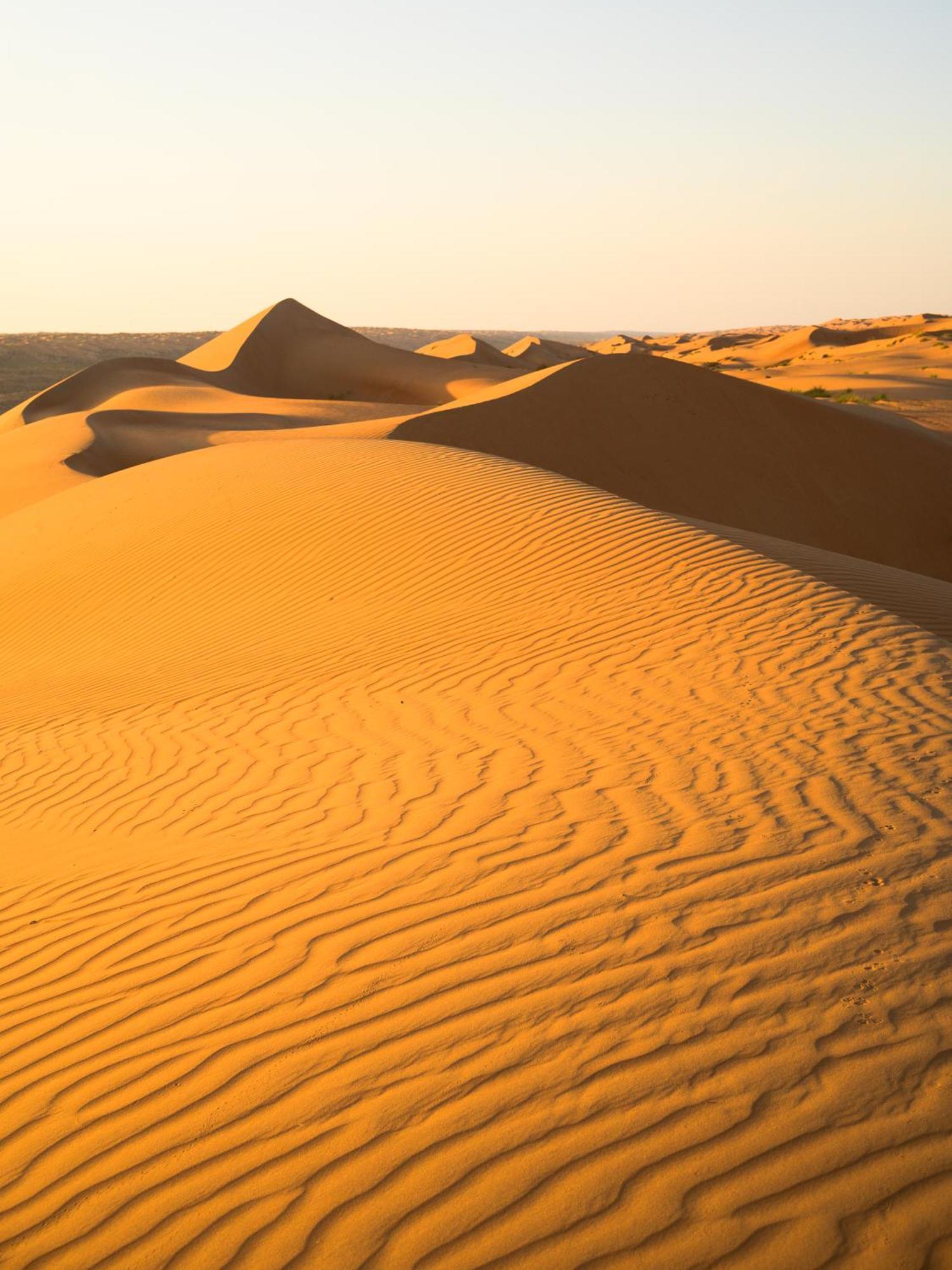 Thousand Stars Desert Camp Badīyah Eksteriør billede